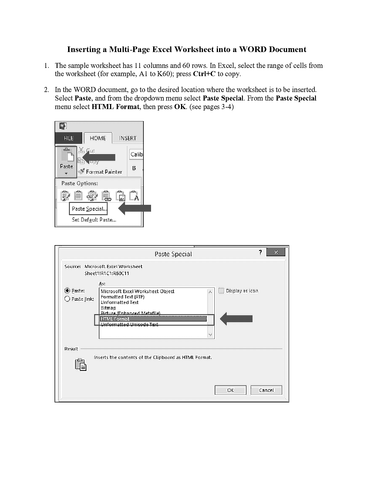 paste a picture from excel into word document vba