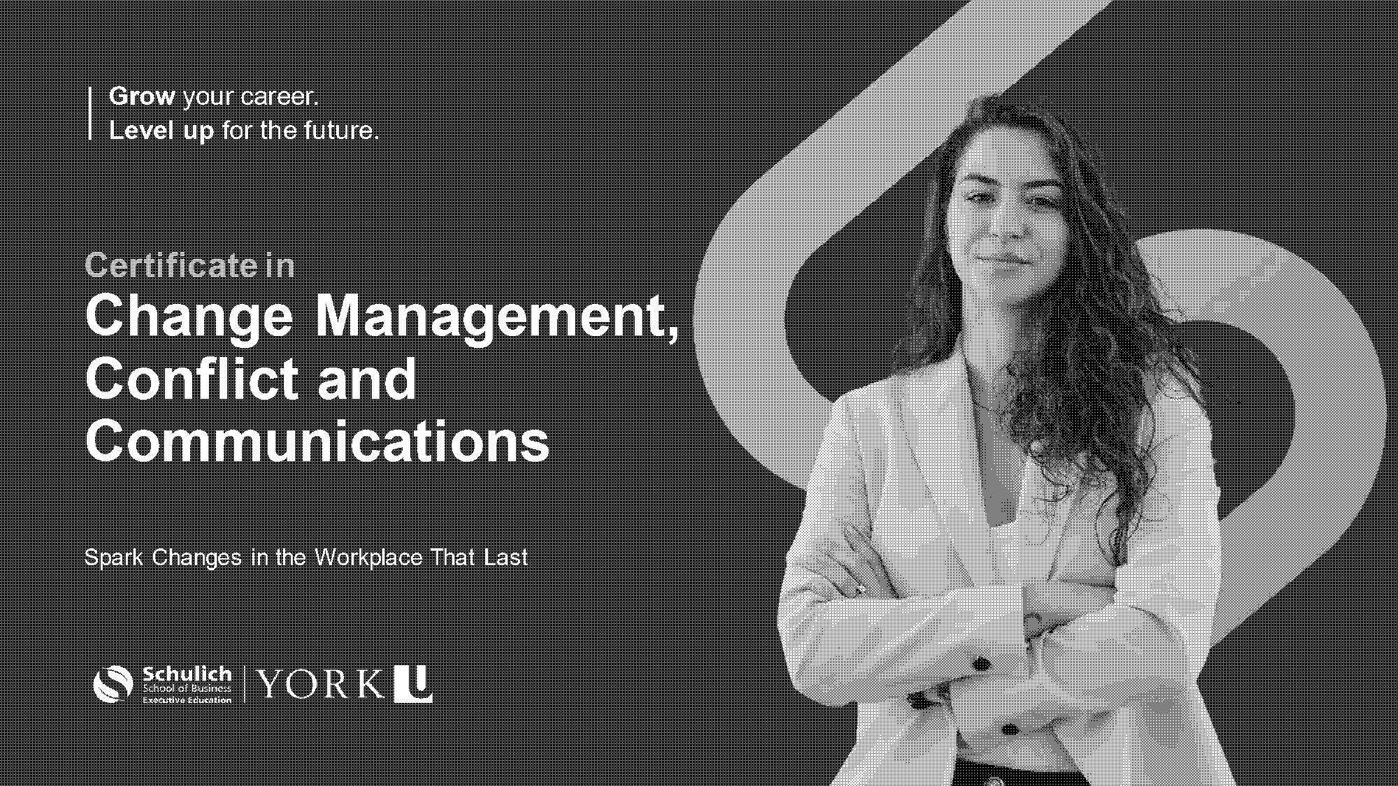 professional certificate in management york university